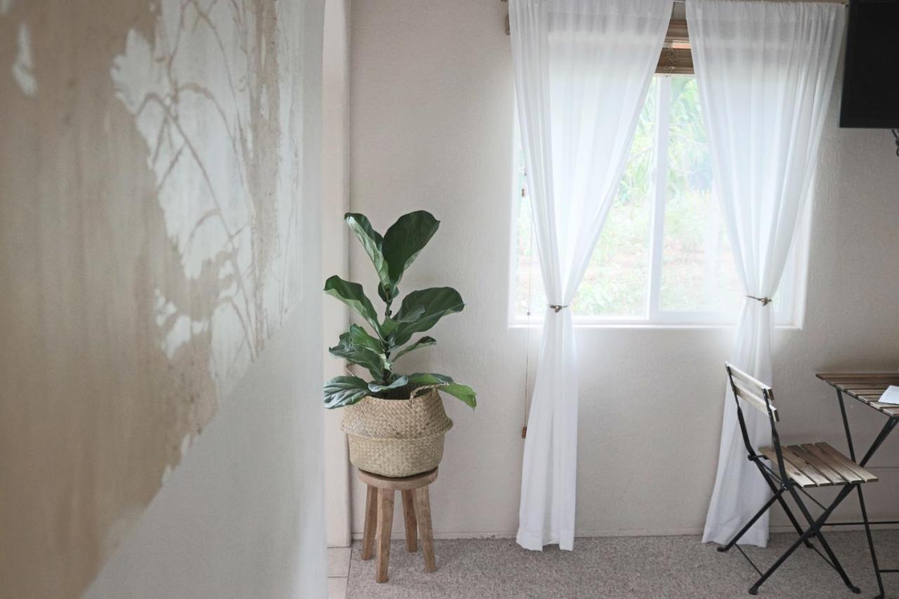 Maui Garden Oasis Villa ลาไฮนา ภายนอก รูปภาพ
