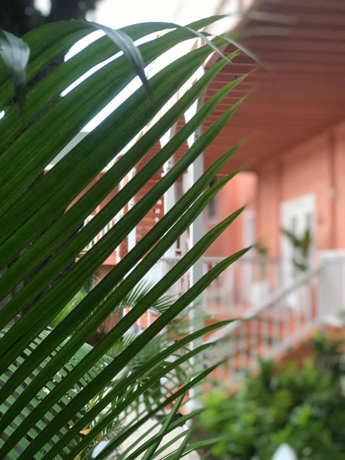 Maui Garden Oasis Villa ลาไฮนา ภายนอก รูปภาพ